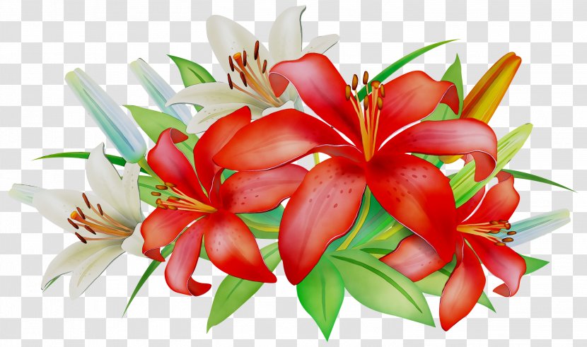 Floral Design Cut Flowers Flower Bouquet - Stargazer Lily Transparent PNG