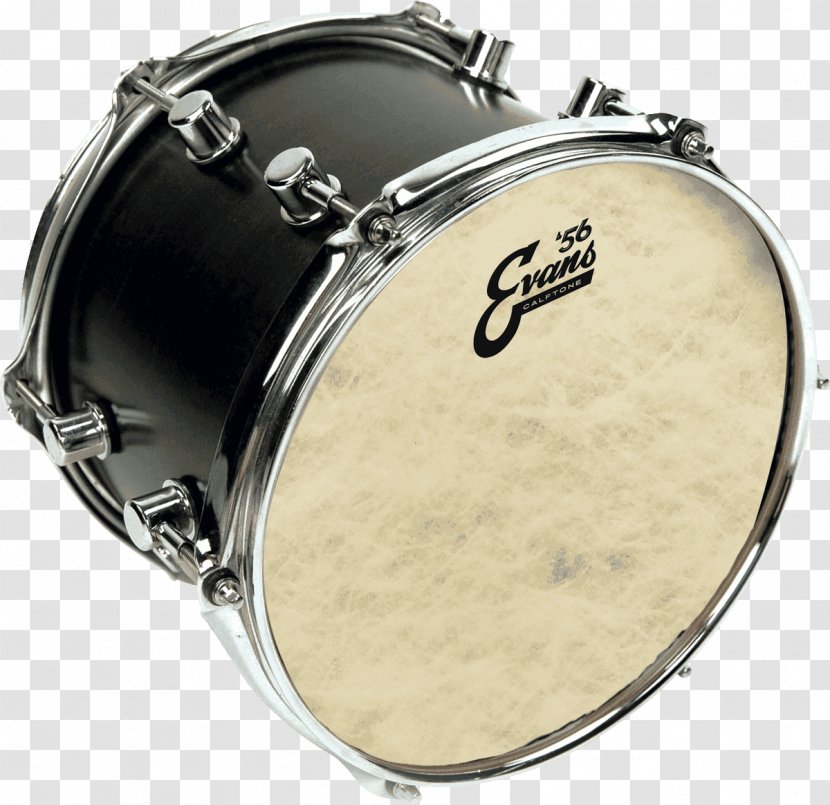 Drumhead Tom-Toms Snare Drums Percussion - Tree - Drum Transparent PNG