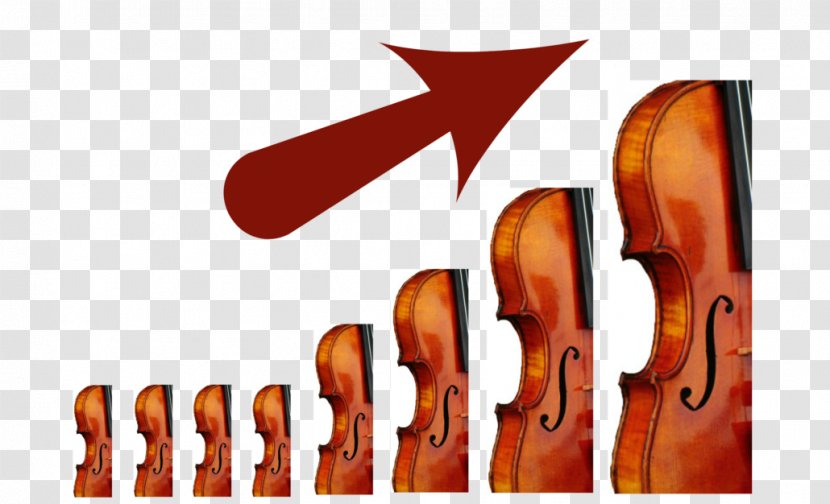 Violin Cello Logo Brand Font - Flower Transparent PNG
