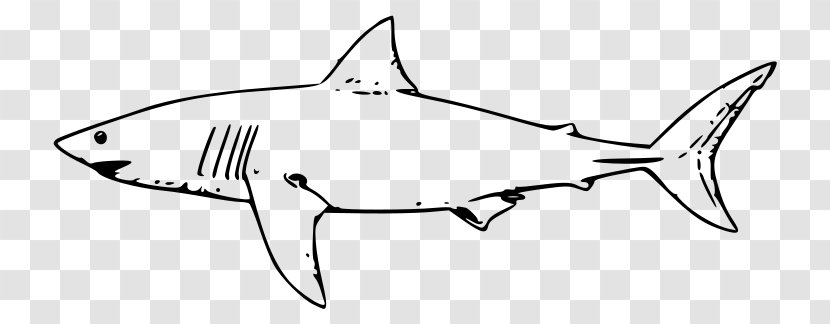 Great White Shark Hammerhead Bull Clip Art - Finning Transparent PNG