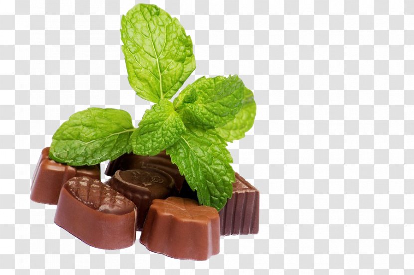 Dark Chocolate Mint - Plant Transparent PNG