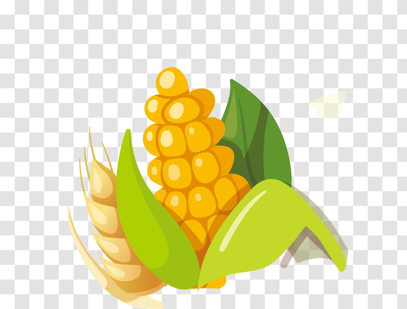 Corn On The Cob Maize Kernel - Crop Transparent PNG