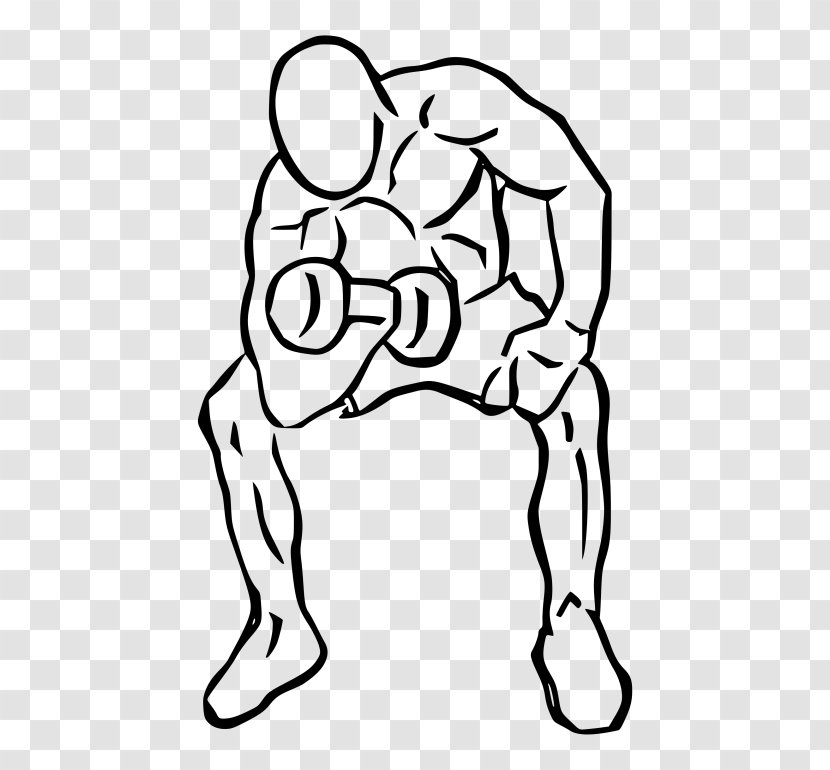 Biceps Curl Dumbbell Bench Exercise - Flower Transparent PNG