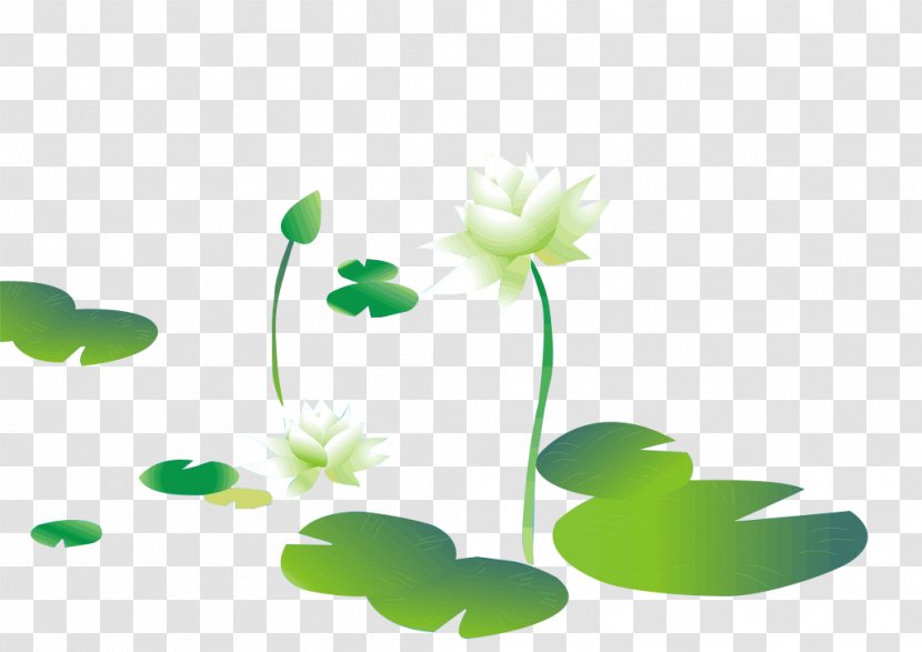 Leaf Nelumbo Nucifera Clip Art - Grass - Lotus Vector Transparent PNG