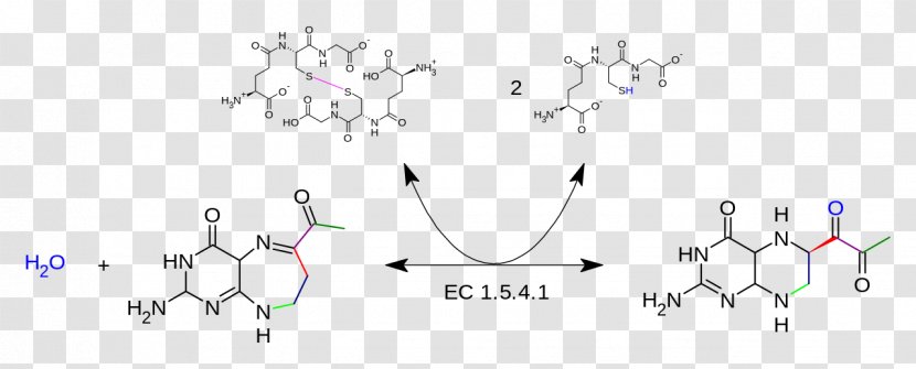 Liquid Chromatography–mass Spectrometry Spectrometer Molecule Font - Diagram - Line Art Transparent PNG