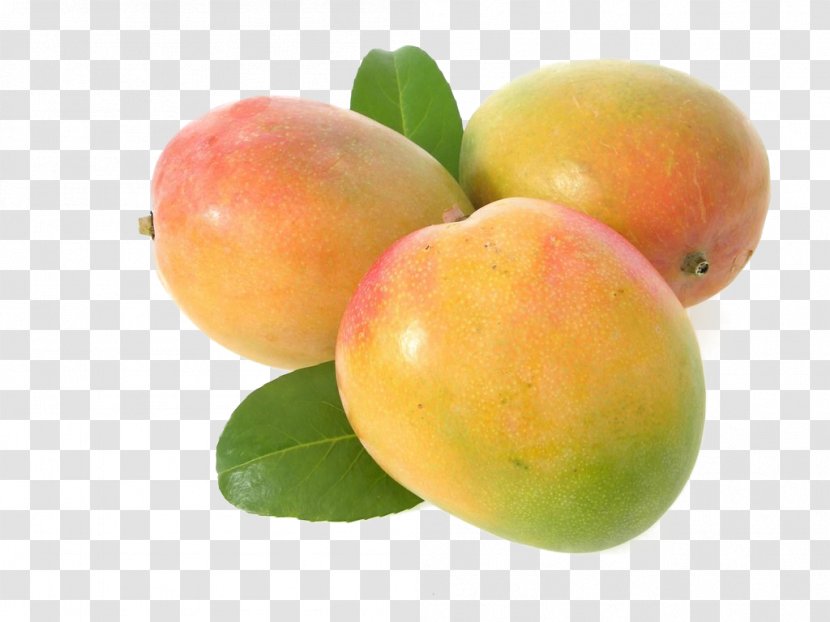 Mango Getty Images Fruit - Photography Transparent PNG