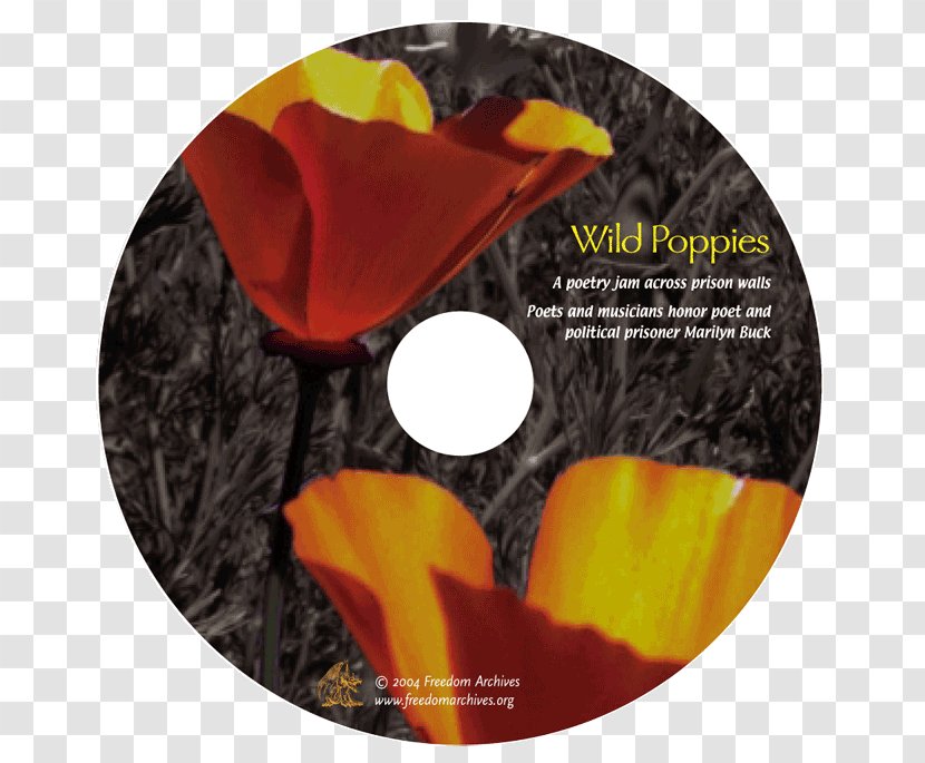Wild Poppies: A Poetry Jam Across Prison Walls - Poppy - Poets And Musicians Honor Poet Political Prisoner Marilyn Buck FlowerCensored Bar Transparent PNG