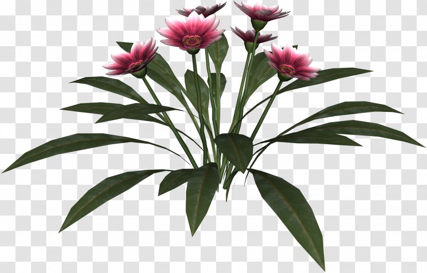Cut Flowers Flowering Plant Flowerpot - Herbaceous - Waterflower Transparent PNG