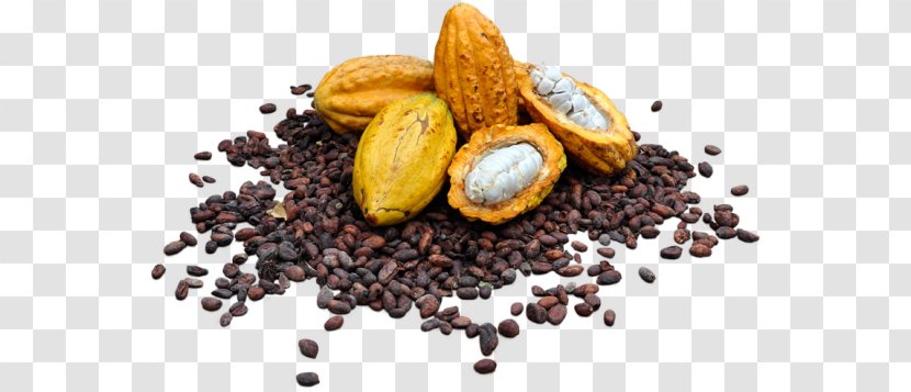 Spice Mix Mixed Cocoa Bean Superfood Mixture Transparent PNG
