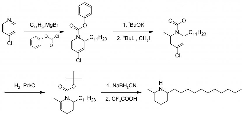 Red Imported Fire Ant Solenopsin Venom - Toxin - Synthesis Transparent PNG