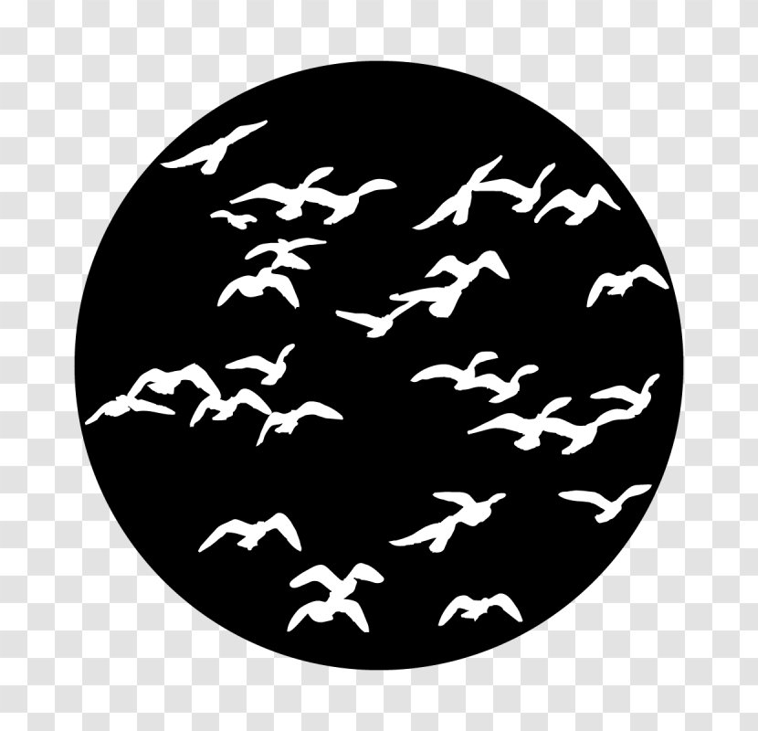 Bird Gobo Flock Design Stage Lighting - Black - Stagecraft Graphic Transparent PNG