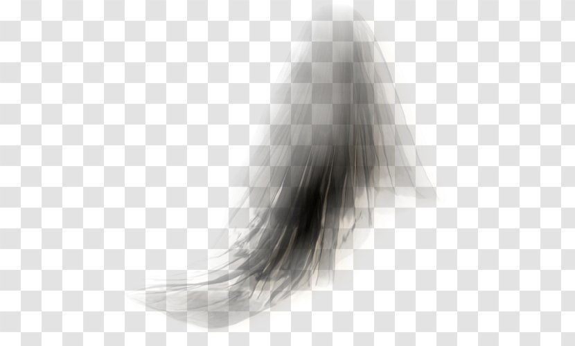 Long Hair Fur Tail White - Wedding Veil Transparent PNG