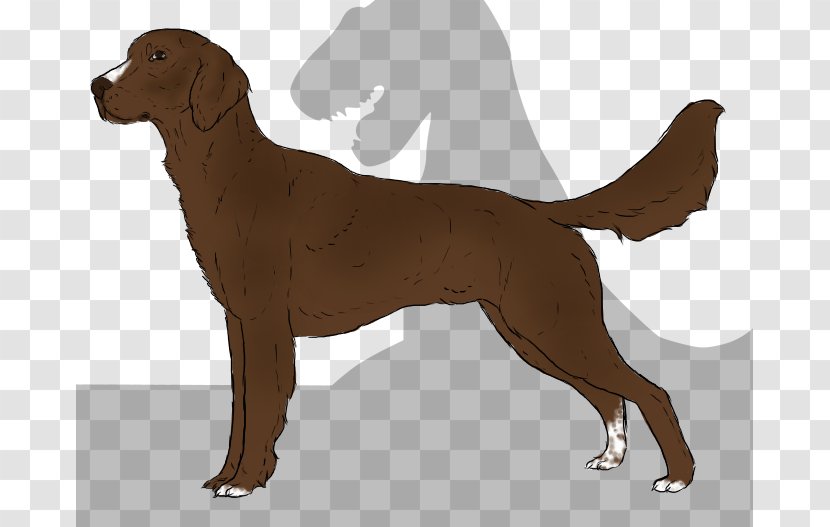 Labrador Retriever Nova Scotia Duck Tolling Puppy Dog Breed - Vertebrate - Tyrannosaurus Rex Transparent PNG