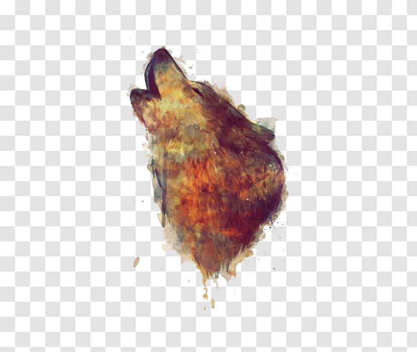 Gray Wolf Artist Watercolor Painting Illustration - Printing Transparent PNG