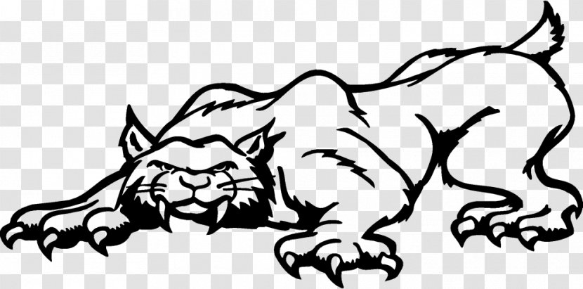 Lion Bobcat Felidae Cartoon Clip Art Transparent PNG