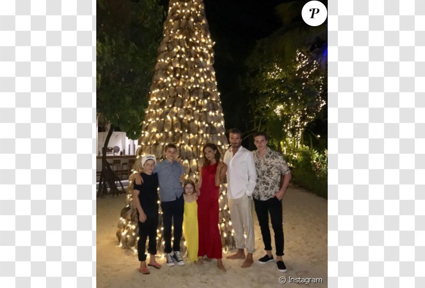Christmas Celebrity Posh And Becks Family Child - Tree Transparent PNG
