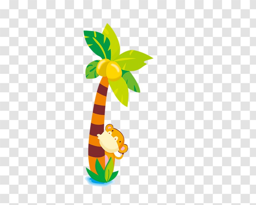 Cartoon Coconut Drawing - Flower - Trees Transparent PNG