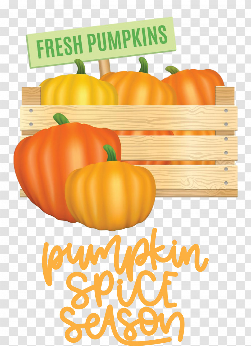 Autumn Pumpkin Spice Season Pumpkin Transparent PNG