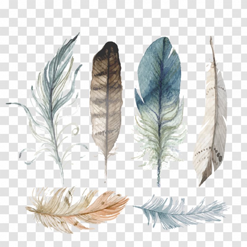 University Of Campinas Drawing Sparrow Holistic Health Vector Graphics Free Content - Work Art - Turkey Feather Transparent PNG