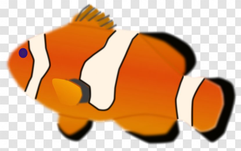 Clownfish Drawing Clip Art - Orange - Fish Illustrations Transparent PNG