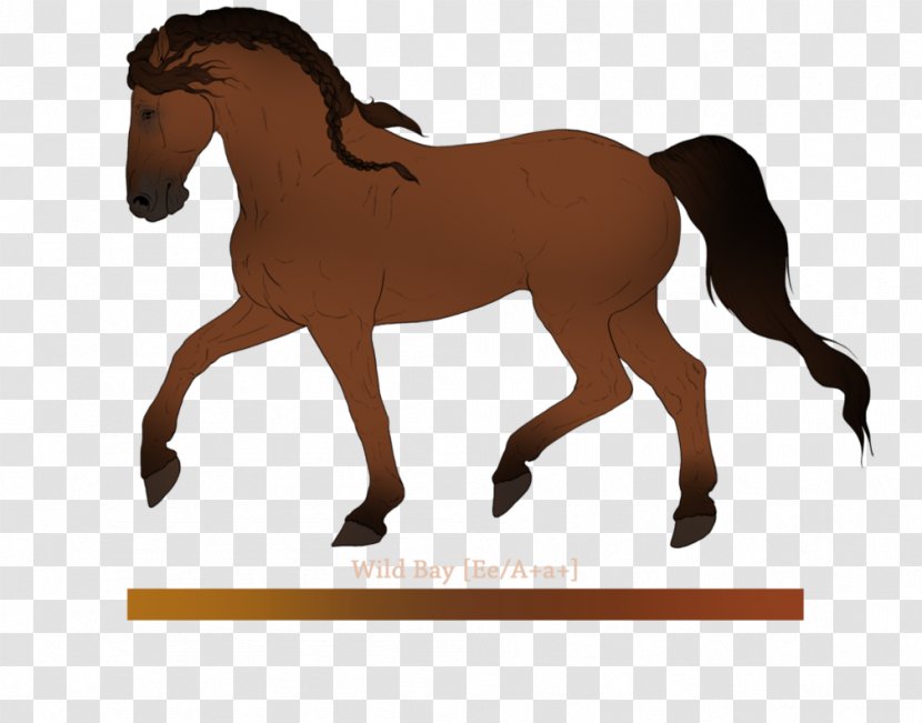 Mustang Stallion Foal Colt Mare - Livestock - Pale Horses Transparent PNG