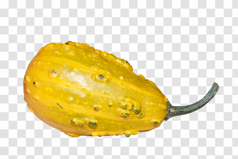 Calabaza Pumpkin Horned Melon Gourd Winter Squash - Yellow Oval Transparent PNG