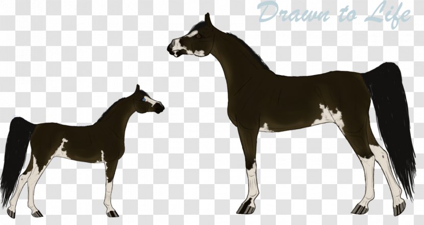 Mustang Foal Stallion Colt Mare - Animal Figure Transparent PNG