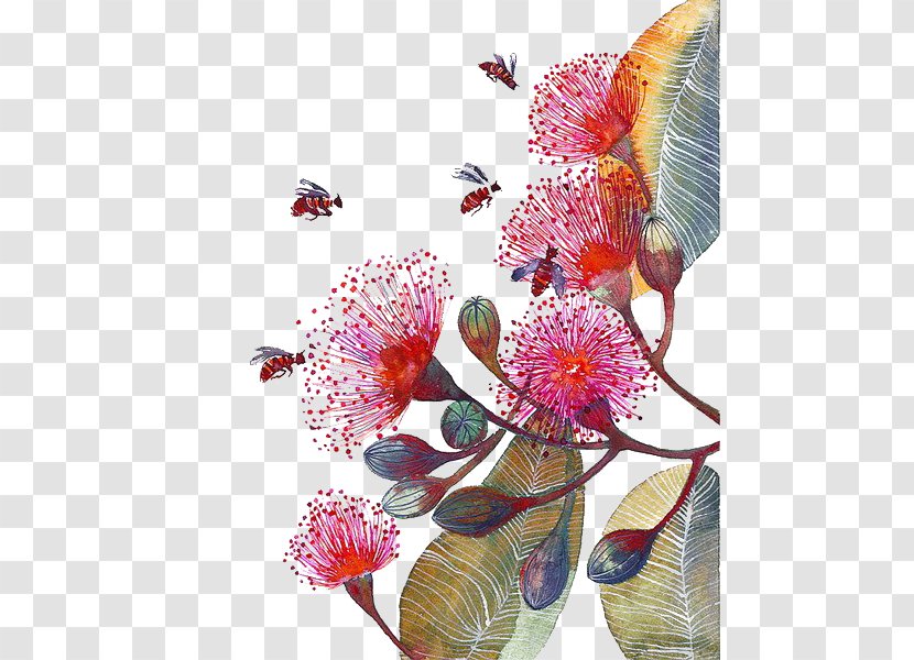 Flower Paper Bee Watercolor Painting Corymbia Ficifolia - Petal - Hand-painted Flowers Transparent PNG