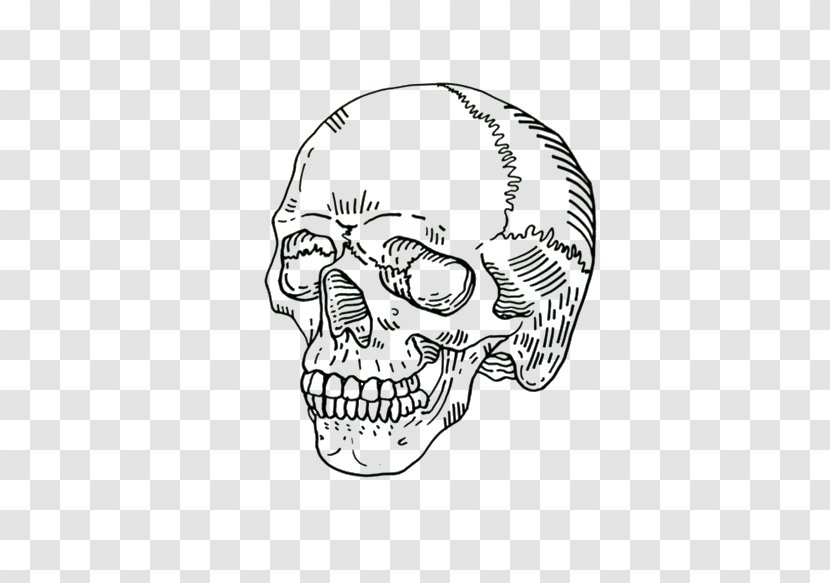 Human Skull Symbolism Drawing Skeleton Clip Art - Flower - Ellie Goulding Transparent PNG