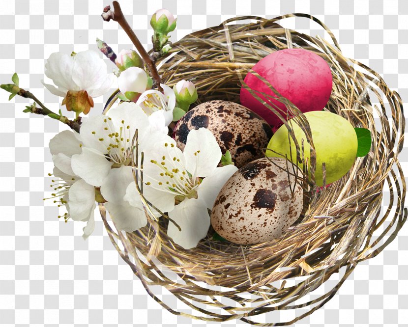 Bird Easter Egg Nest Transparent PNG