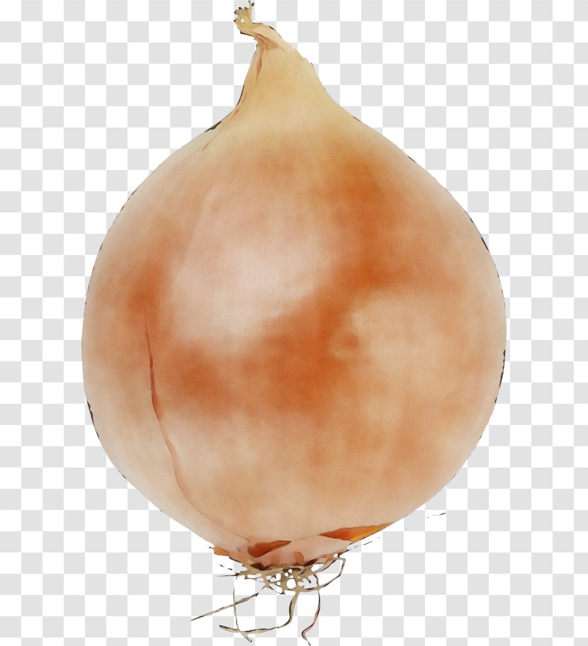 Onion Vegetable Yellow Food Shallot - Plant Allium Transparent PNG