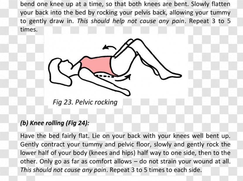 Pelvic Floor Dysfunction Pelvis Urinary Incontinence Physical Therapy - Frame Transparent PNG