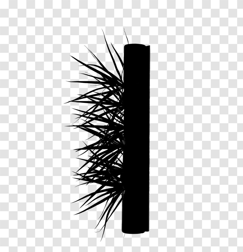 Brush - Cylinder - Plant Transparent PNG