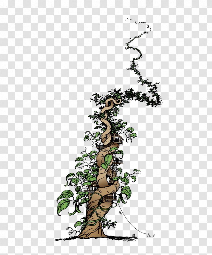 Flowering Plant Houseplant Stem Animal - Beanstalk Transparent PNG