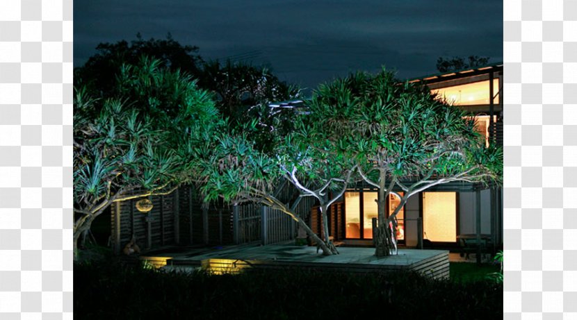 Landscape Lighting Landscaping Backyard Architecture - Home - Tree Transparent PNG
