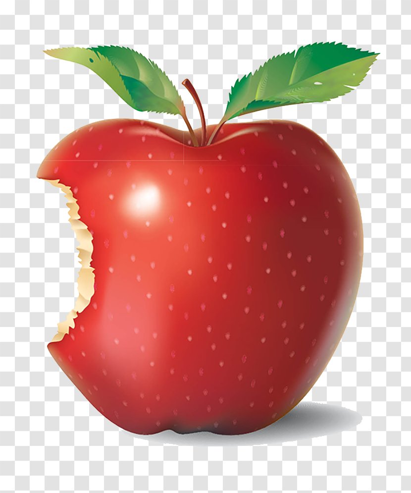 Apple Clip Art Transparent PNG