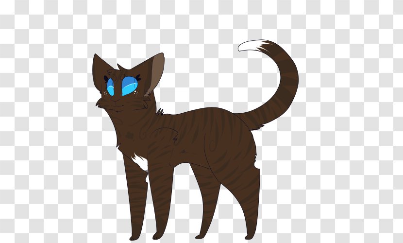 Whiskers Cat The Sun Trail Warriors Erin Hunter - Small To Medium Sized Cats Transparent PNG