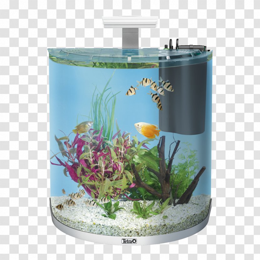 Tetra Aquariums Nano Aquarium Heimtierbedarf - Lighting - Decor Transparent PNG