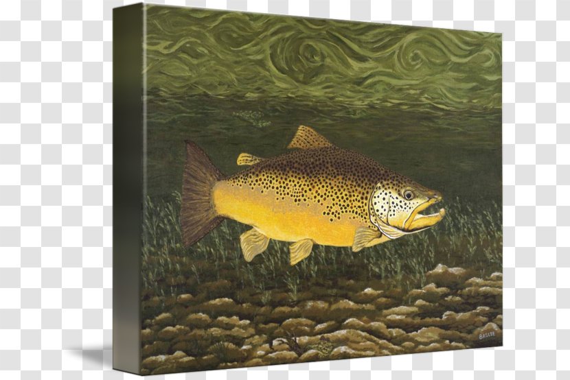 Troutman Gallery Wrap Aquariums Art - Trout - Lake Transparent PNG