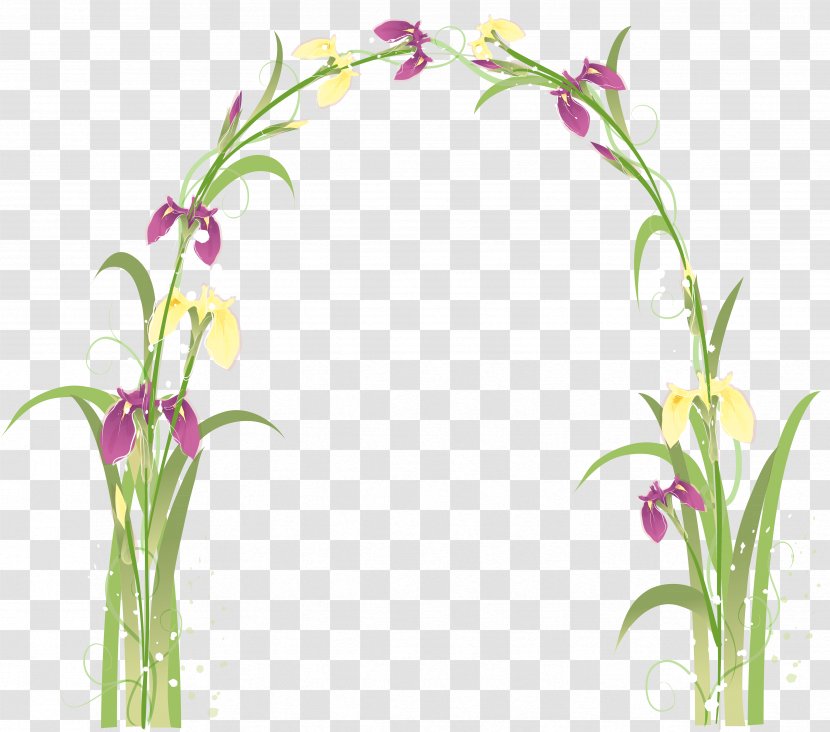 Flower Clip Art - Petal - Transparent Floral Cliparts Transparent PNG
