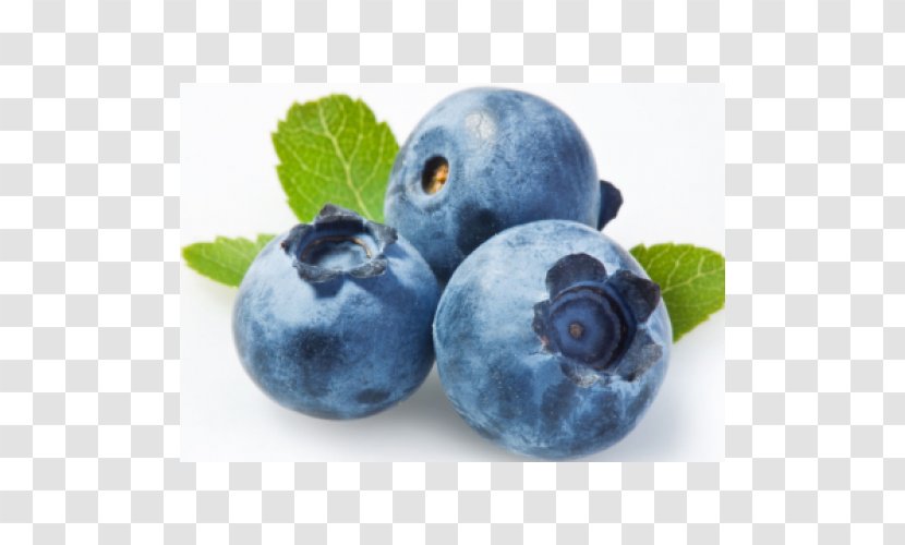 Blueberry Tea Muffin Fruit Food - Plant Transparent PNG