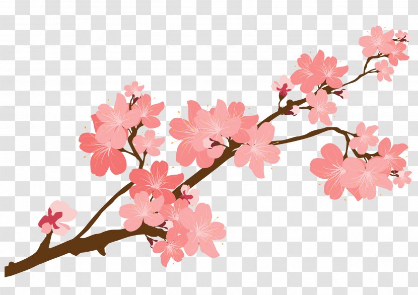 Cherry Blossom Sticker Clip Art - Plant - Flowers Transparent PNG