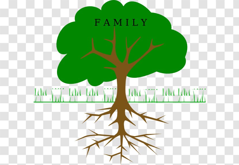 The Great Kapok Tree Branch Clip Art - Blog - Family Transparent PNG