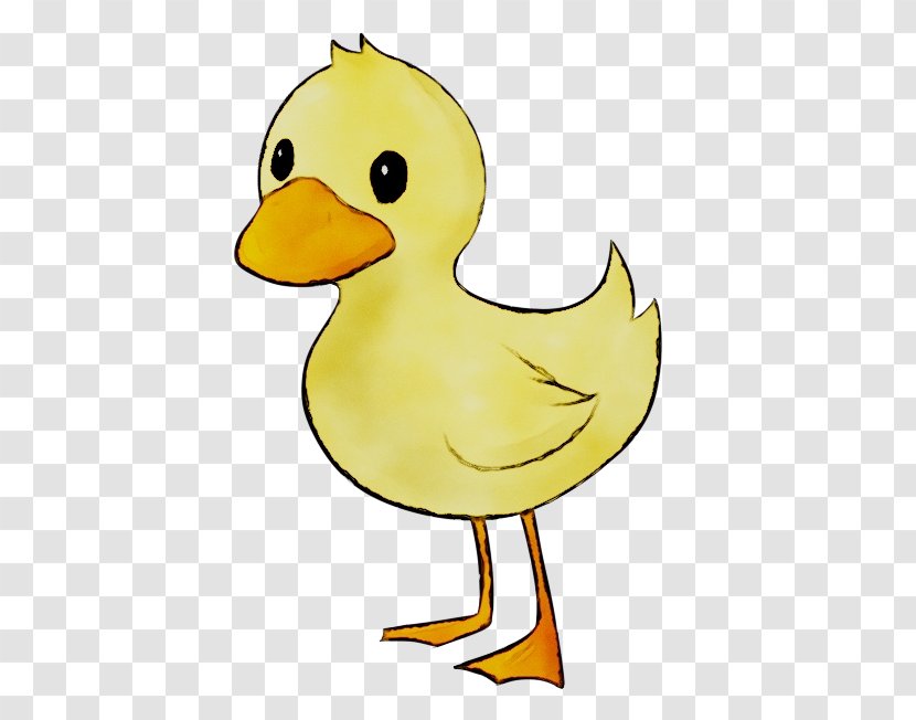 Duck Clip Art Vector Graphics Image Cuteness - Royaltyfree - Humour Transparent PNG