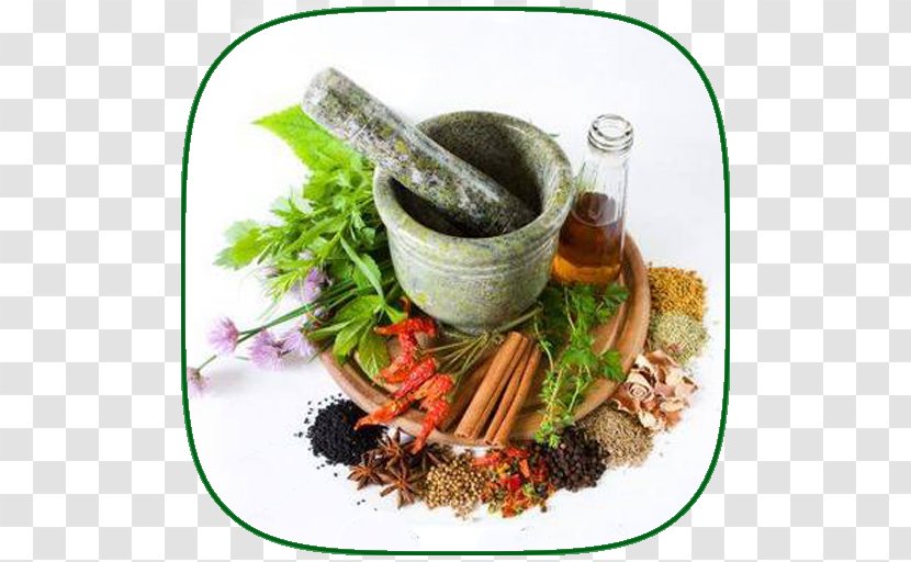 Herb Thai Cuisine Spice PHARMACIE AL JABAL Oil - Recipe - Ayurvedic Healing Transparent PNG