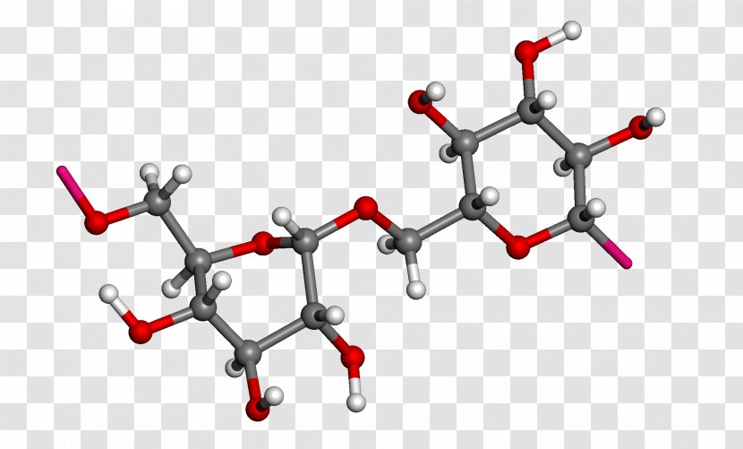 Ball-and-stick Model Dextran Molecule Polysaccharide Branching Transparent PNG