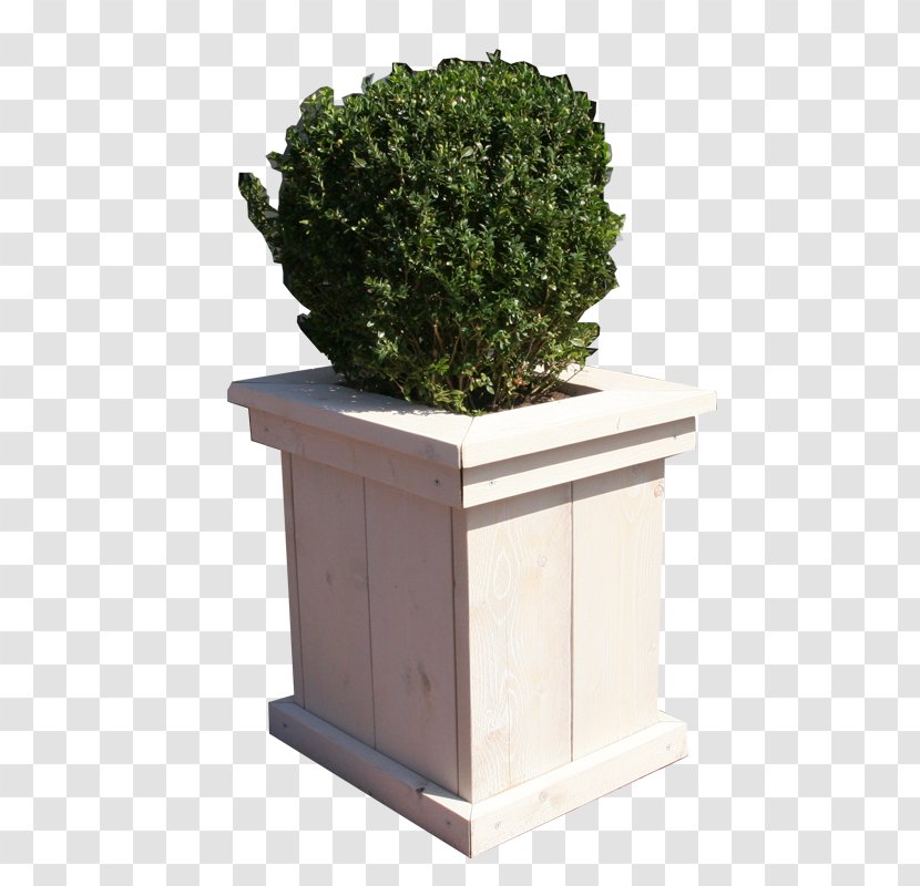 Houseplant Flowerpot Rectangle Tree Transparent PNG