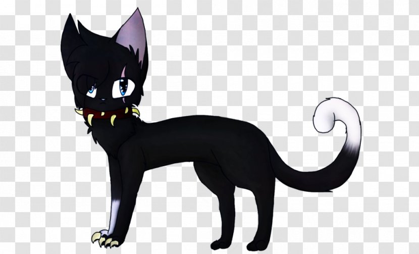 Black Cat Kitten Whiskers Domestic Short-haired - Organism - For Your Entertainment Transparent PNG