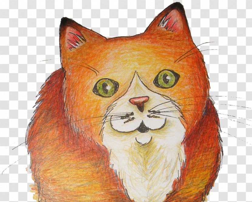 Whiskers Kitten Wildcat Drawing Transparent PNG