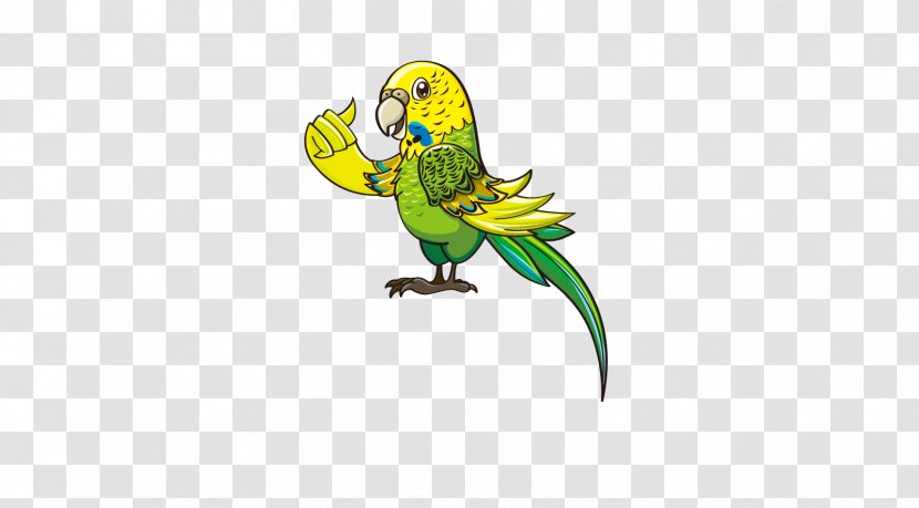 Macaw Character Animation - Reptile - Parrot Transparent PNG